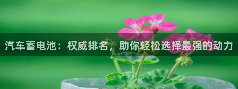 优发国际网官