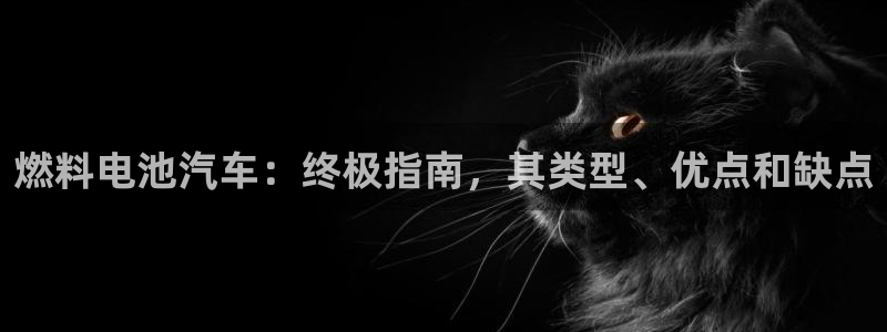 优发国际游戏17岁能玩吗