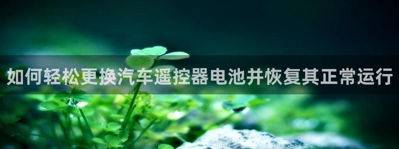 优发国际平台18岁能做吗