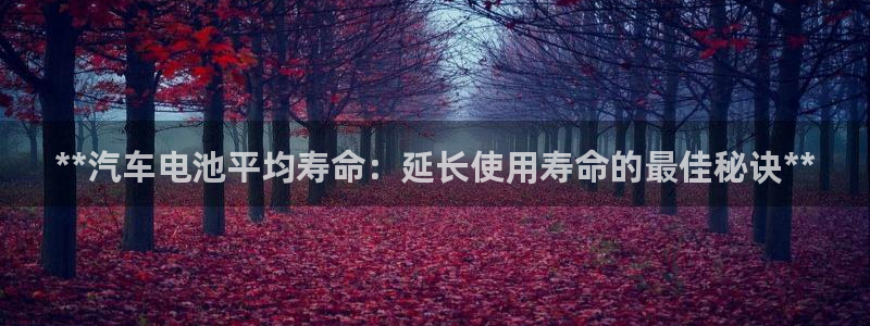 优发国际官网登录