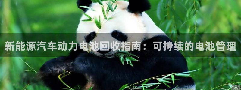 优发国际平台g80