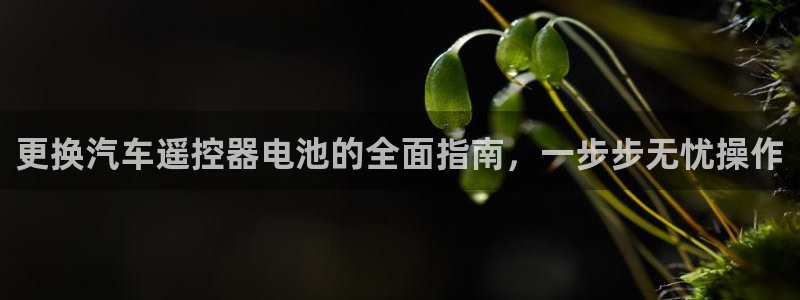 优发娱乐官网地址