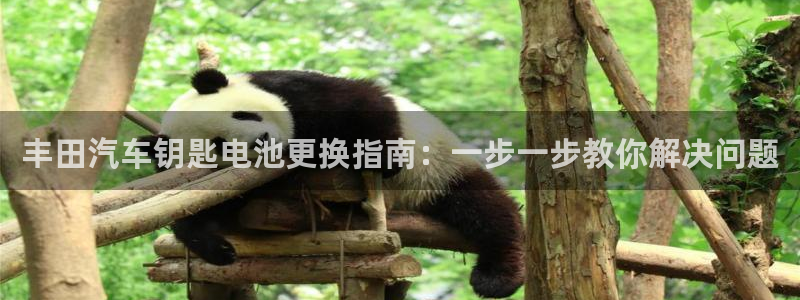 优发国际怎么样