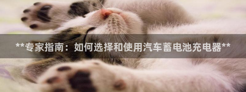 优发国际网站