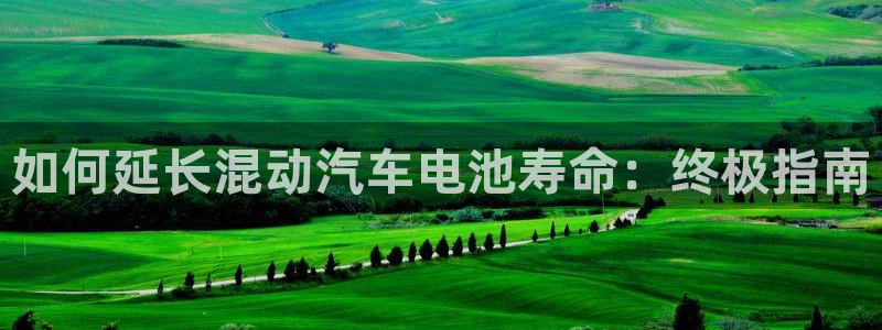 优发国际手机app下载安装最新版