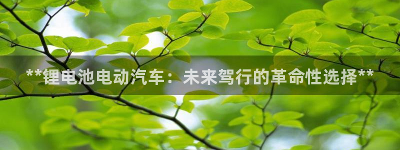 优发国际的官网是正品吗