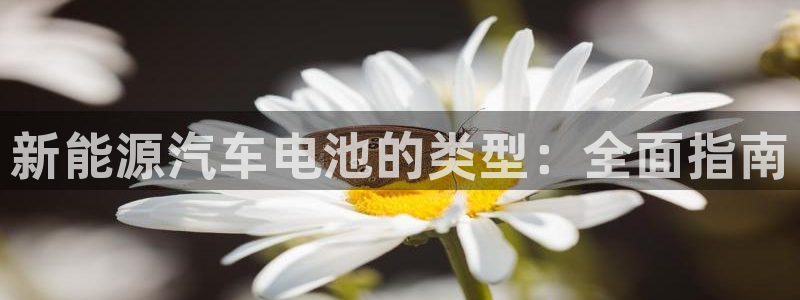 优发国际不出款怎么办