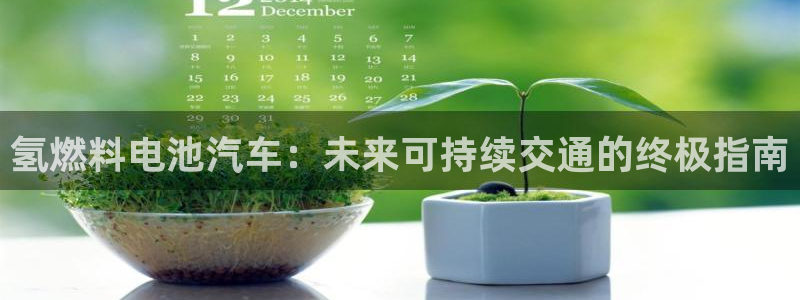 优发国际手机安装登录失败