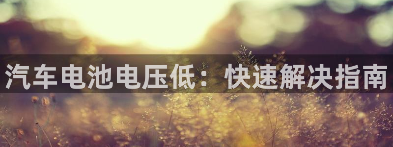 优发国际官网首页