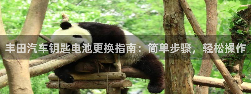 优发国际官网手机版下载安装