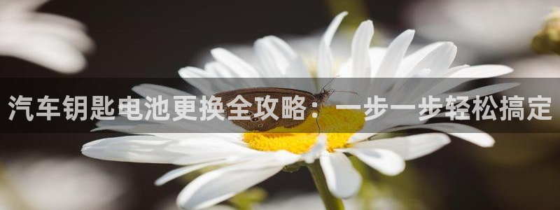 优发国际最新网站下载