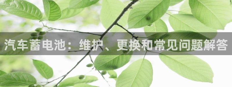 优发国际一触即发登陆