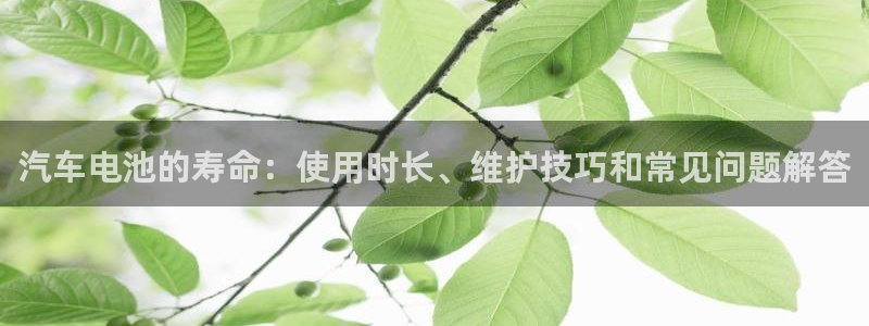 优发国际官网首页入口