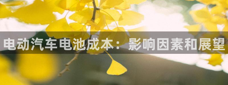 优发国际合并到哪里了啊