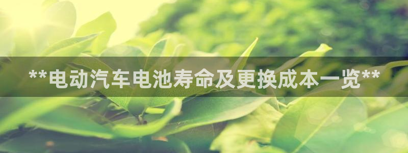 优发国际注册平台是什么