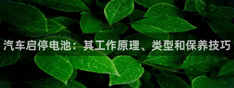 优发国际平台