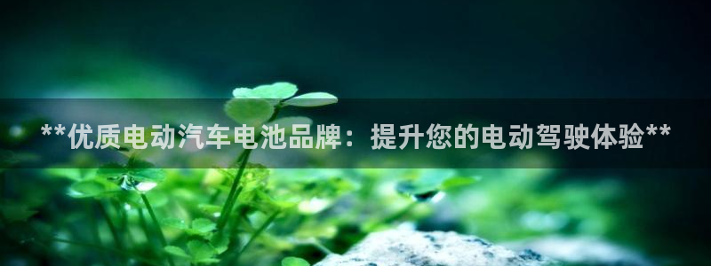 优发国际平台18