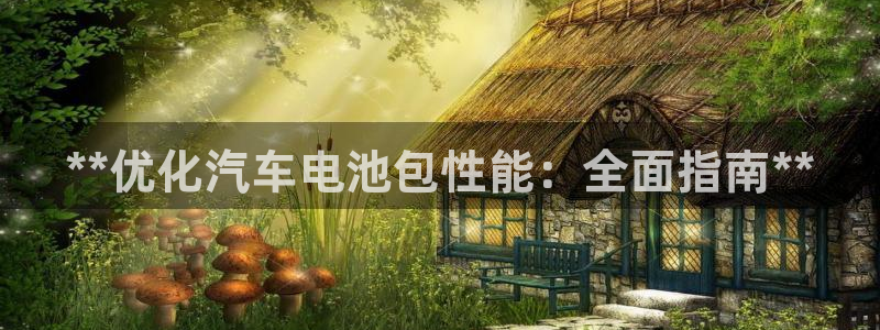 优发国际集团股份有限公司