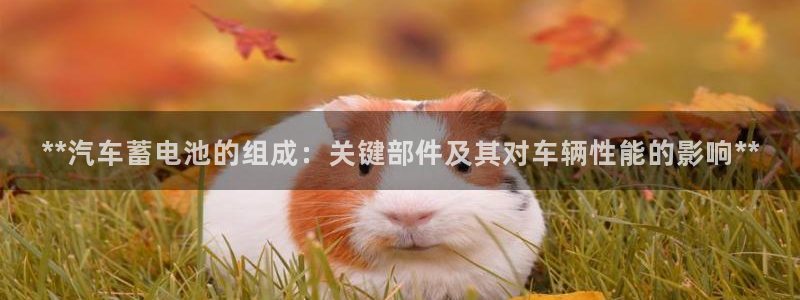 优发国际注册账号
