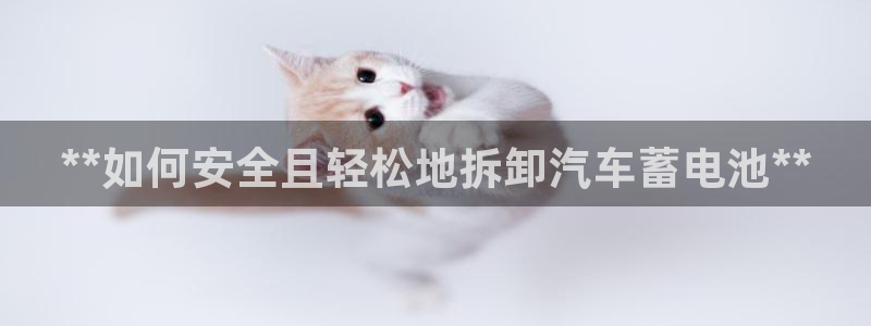 优发国际手机客户端官网
