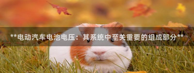 优发国际客服联系方式电话