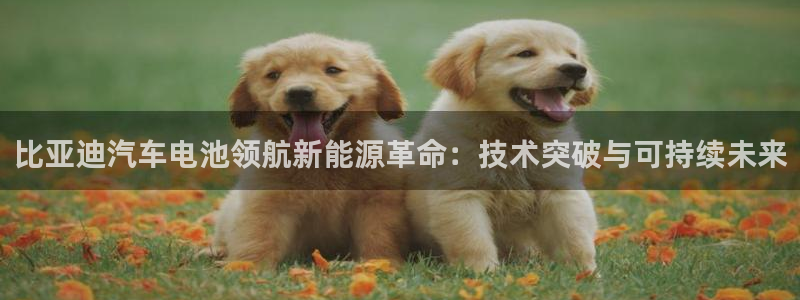 优发国际不出款了吗