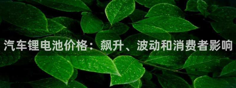优发国际官方网平台电话