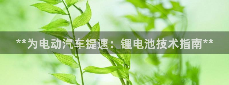 优发国际手机登录下载安装官网