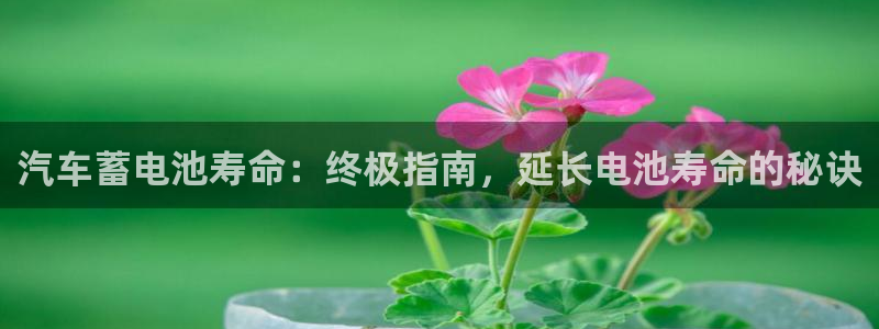 优发国际app官网下载安装苹果手机
