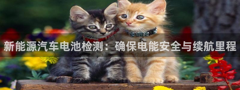 优发国际注册17