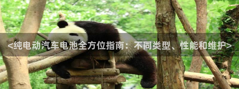 优发国际官方网平台