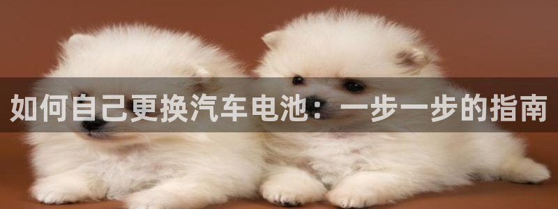 优发国际游戏17