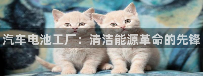 优发国际不出款怎么办