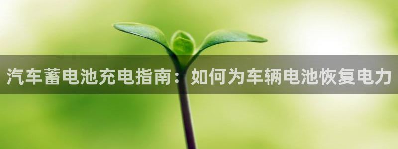 优发国际网站官网