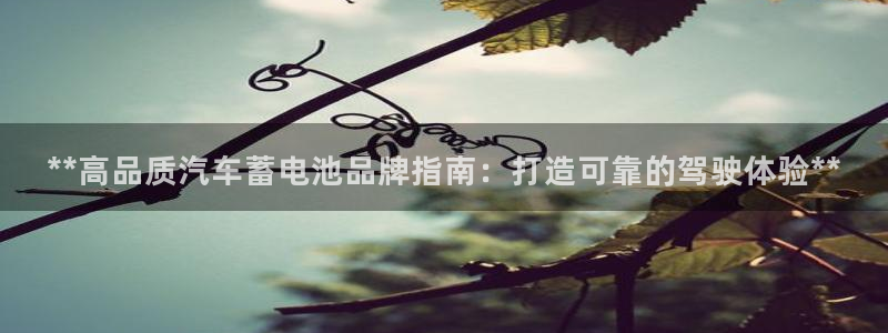 u优发国际首页