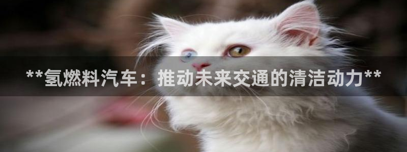 优发国际网站官网