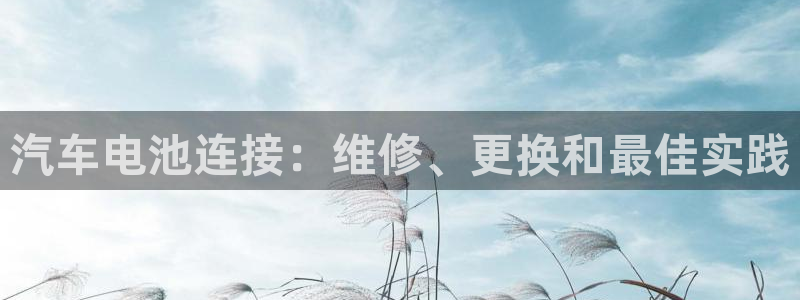 优发国际手机版网站下载