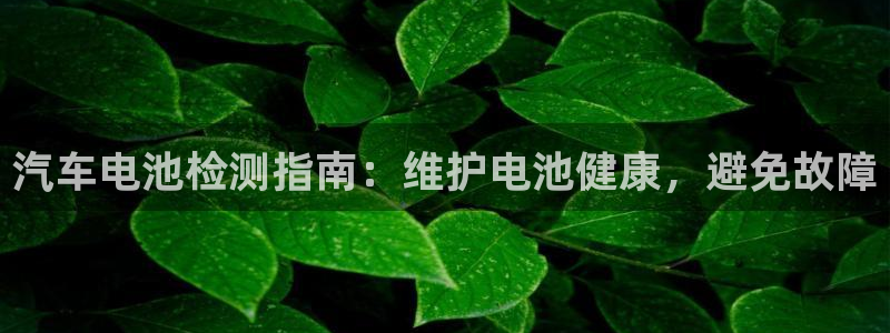 优发娱乐官网地址