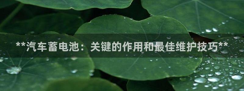 优发娱乐官网地址