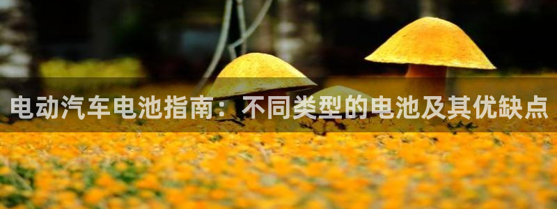 优发国际app