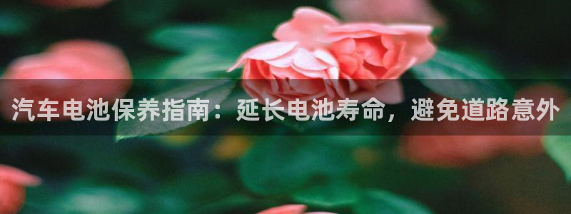 优发国际手机版下载官网