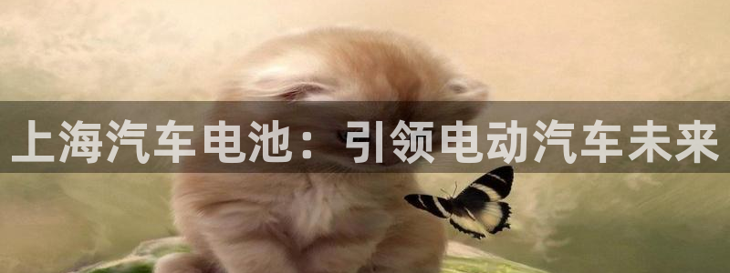 优发国际官网是多少