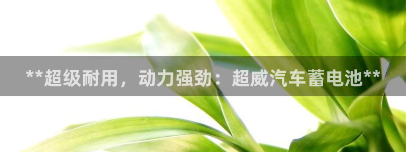 优发国际官方下载app