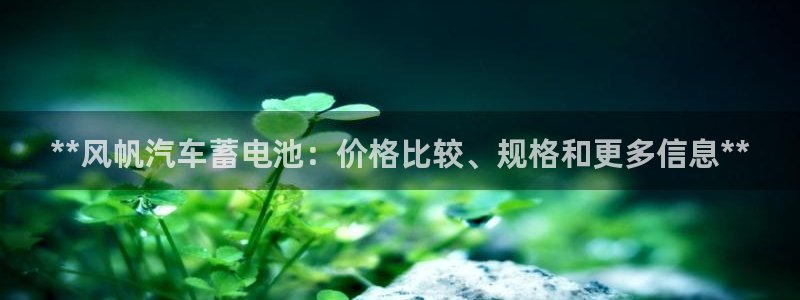 优发国际官网网站首页
