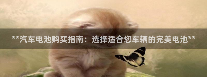 优发国际官网网站入口