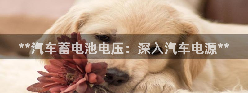 优发国际