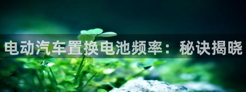 优发国际官网手机版代理