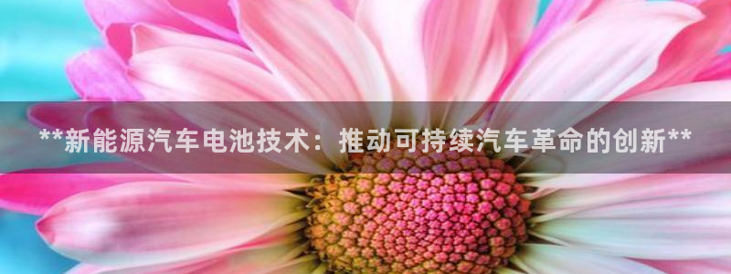 优发国际官网下载安装app