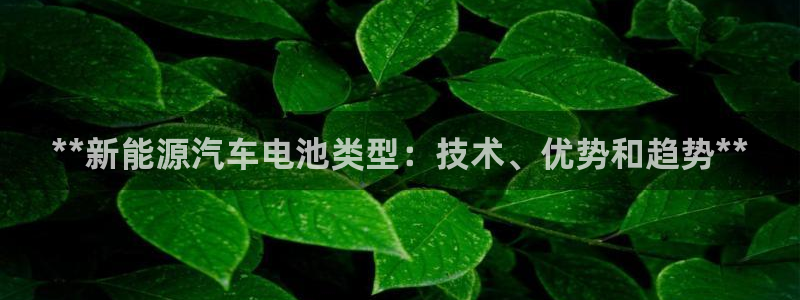 优发国际手机版客户端