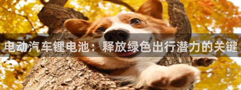优发国际官网,首页网址